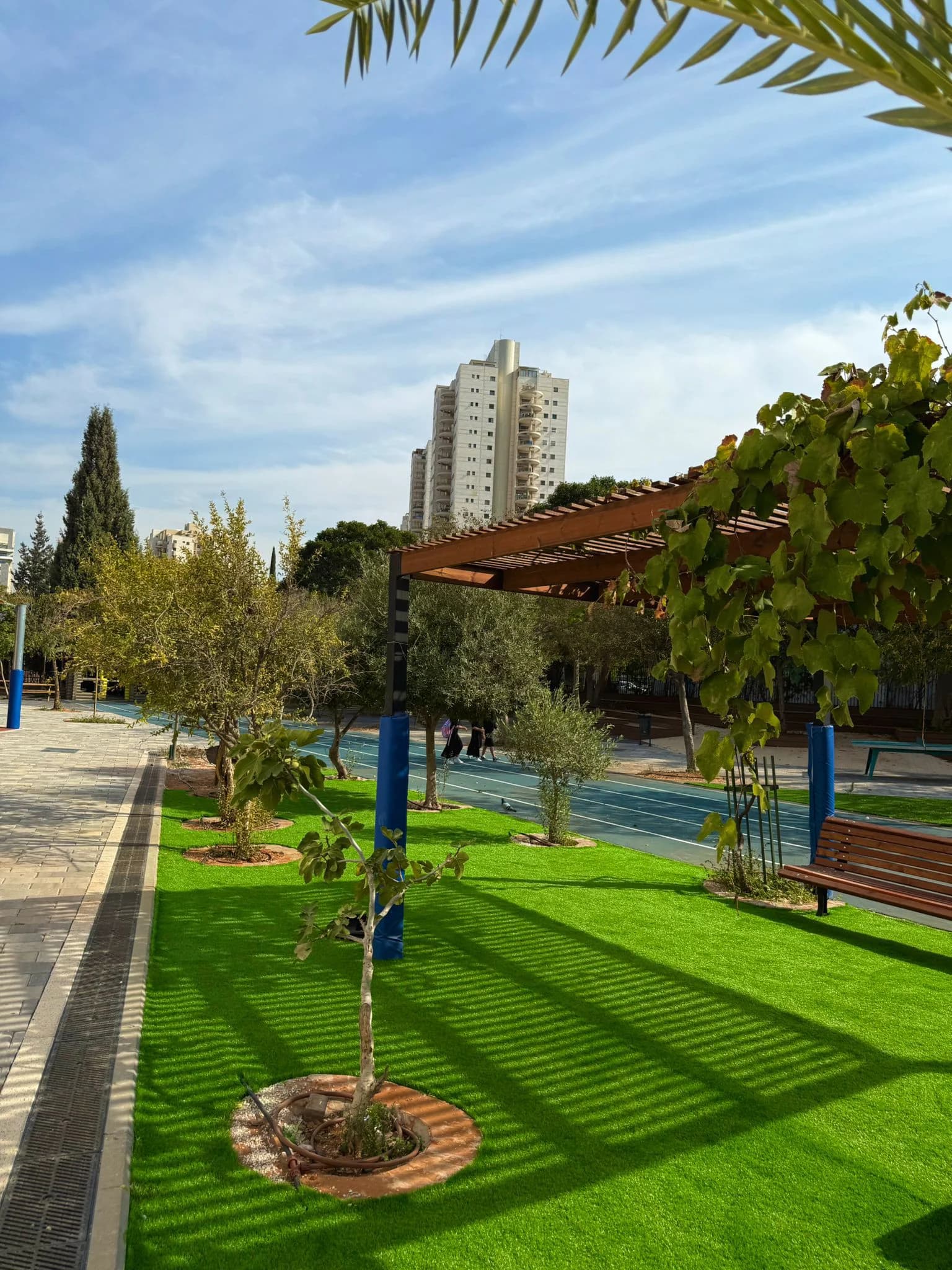 גינה ירוקה עם עצים, שביל ופרגולה